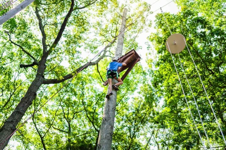 Girl climbing to the top of a ropes course.