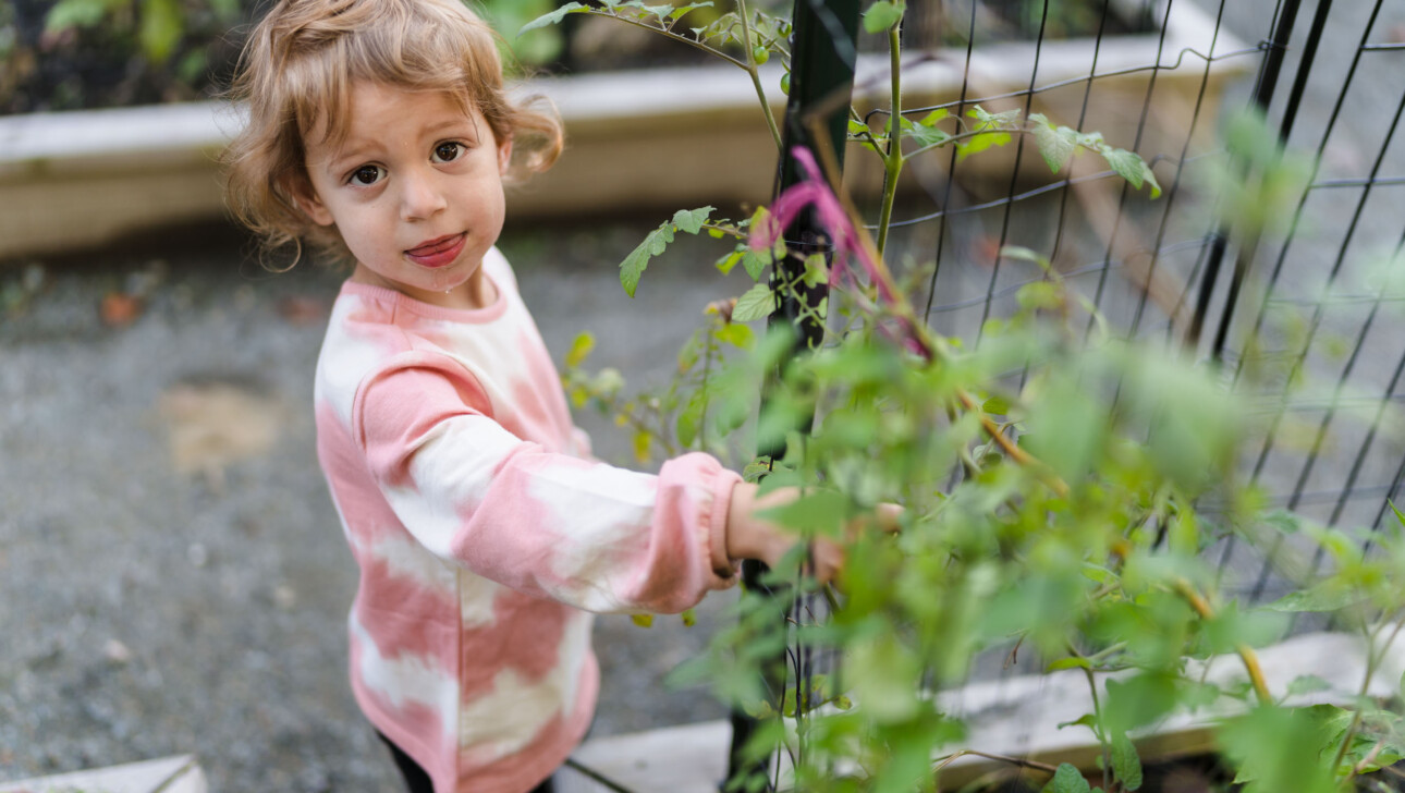 A young child next to a plant.