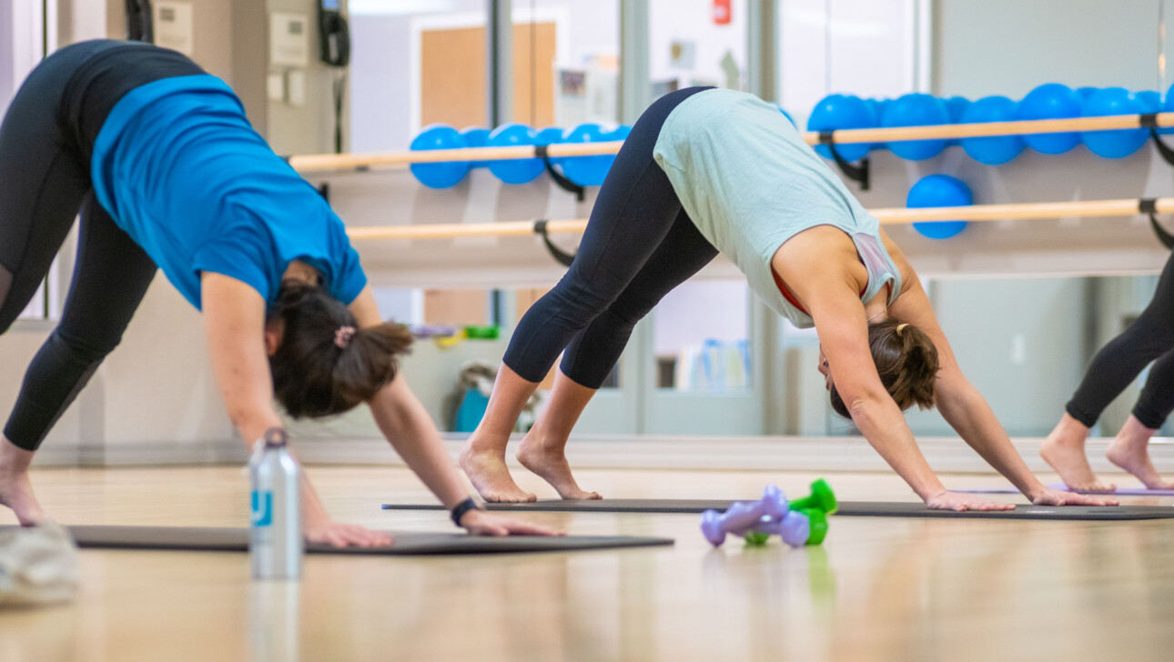 A group of people practicing yoga.