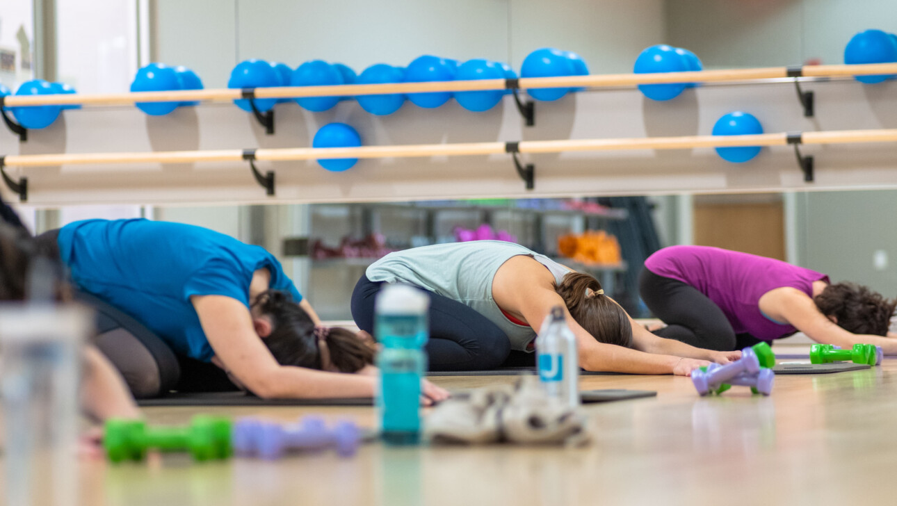 A group of people practicing yoga.