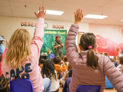Reptile Adventures at Discovery Club.