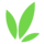 Nature icon.